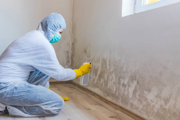 Licensed Bathroom Mold Removal service in Horsham, PA - WQB Mold Removal