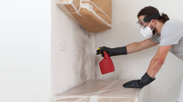 Professional Bathroom Mold Removal technician working in Horsham, PA
