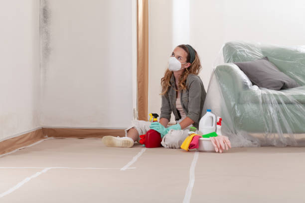Reliable Bathroom Mold Removal contractor in Horsham, PA by WQB Mold Removal