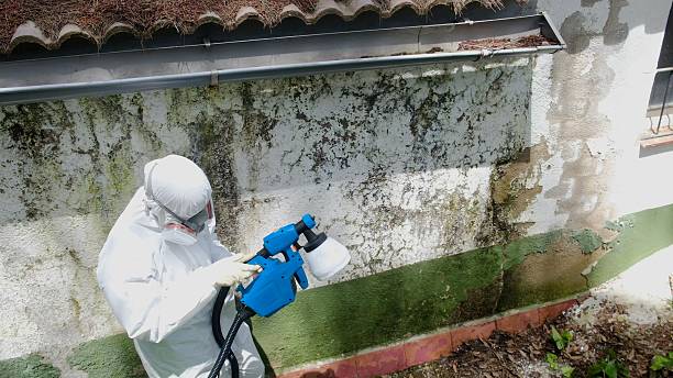 Top rated local Bathroom Mold Removal specialists in Horsham, PA